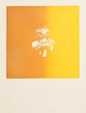 Louis le Brocquy, Tete Jaune, aquatint - numbered 38 from an edition of 75
