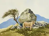 James MacIntyre, Connemara Donkey, 1997, watercolour