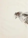 Shoot, Pheasant II by Terence P. Flanagan, mixed media on paper, sold Sep 2019