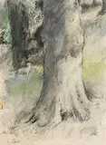 Tom Carr, Retriever