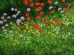 Jerry Marjoram, Wildflowers, oil on canvas