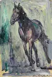 Con Campbell, The Mare