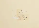 Felim Egan, Abstract