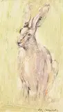 Con Campbell, Irish Hare