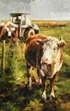 Mark O'Neill, The White Face Bullock, 2006, oil on board