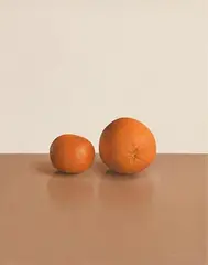 Two Oranges by Comhghall Casey, 2007, oil on canvas, offered Jun 2019
