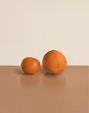 Comhghall Casey, Two Oranges, 2007, oil on canvas