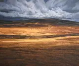 Trevor Geoghegan, Sunlight on the Bog