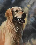 John Trickett, Golden Retriever