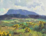 Ann Primrose Jury, Muckish in Spring