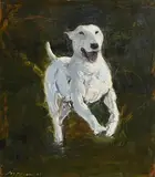 Stephen McKeown, The Bulldog