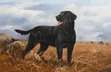 John Trickett, Just Say the Word, oil on canvas