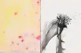 Robert Janz, Seed Rose