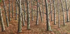 Pauline Walsh, Between the Woods, oil on canvas