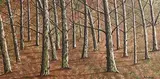 Pauline Walsh, Between the Woods, oil on canvas