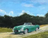 Gregory Toal, 1961 E Type Jaguar Roadster V12, acrylic on board