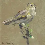 Con Campbell, Song Bird, oil on board