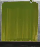 Ciarán Lennon, Green Lens, acrylic on aluminium