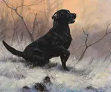 John Trickett, Gun Dog, oil on canvas