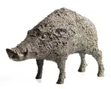 Anthony Scott, Wild Boar
