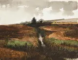 Martin Gale, Sralagagh