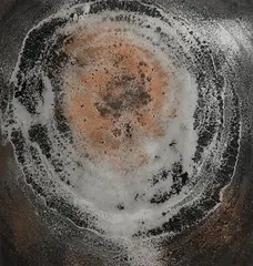 Patrick Scott, Magnetic Burst, mixed media on board