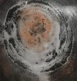 Patrick Scott, Magnetic Burst, mixed media on board