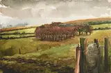 Martin Gale, Copse, Co. Wicklow, 2005, watercolour