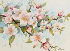 Annemarie Bourke, Apple Blossom, watercolour
