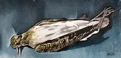 Patrick Swift, Dead Plover, c.1950, oil on canvas