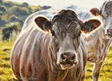 Mark O'Neill, Up Close and Personal, 2017, oil on board