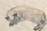 Gerard Dillon, Suzy, watercolour and pencil