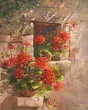 Annemarie Bourke, Sunlit Geraniums