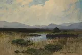 Percy French, In a Donegal Bog