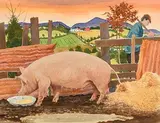 James MacIntyre, The Pig Sty, watercolour
