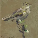 Con Campbell, Song Bird, oil on board