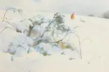 Tom Carr, Family Fun in the Snow