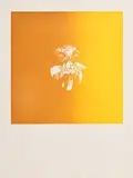 Mycenean Gold Mask by Louis le Brocquy, intaglio print on paper from an edition of 75, sold Mar 2018