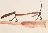 James Patrick Dunleavy, The Length Shortens the Distance to Travel to Use It, watercolour, ink/paper