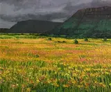 Catherine McWilliams, Distant Ben Wiskin with Meadow, 1999, oil on canvas