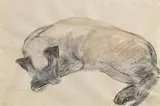 Gerard Dillon, Sleeping Cat, watercolour and pencil