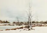 Phyllis del Vechio, Winter Birches, watercolour