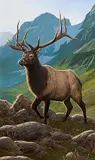 Steve Burgess Canadian, Royal Stag in the Highlands