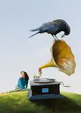 Jimmy Lawlor, The Music Lesson
