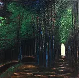 Philip Ryan, Canopy of Light, oil on canvas