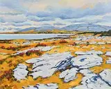 Fergal Flanagan, The Burren, near Ballybaughan, Co Clare