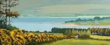 John Francis Skelton, Gorse of Course