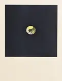 Citron by Louis le Brocquy, 1974, aquatint on arches paper number 16 from an edition of 75, sold Sep 2017