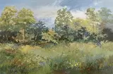 Gretta O'Brien, Mid Summer