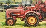 Mark O'Neill, Vintage Red